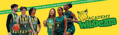 Image result for Nottingham Wildcats
