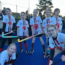 Image result for Annadale Hockey Club