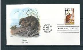 Image result for Beaver Sc