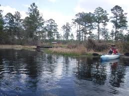 Image result for Kingfisher Canoe Club