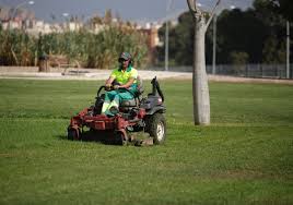 Image result for www.diariosur.es