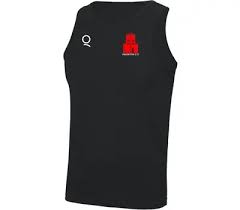 Image result for Paignton Cc