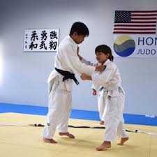Image result for Halewood Inclusive Judo Club