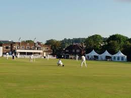 Image result for Guildford Cricket Club