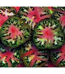 Afbeeldingsresultaat voor kosmonaut volkov 68D tomato