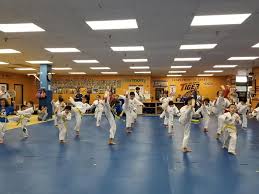 Image result for Kidderminster Tae Kwon Do Tigers