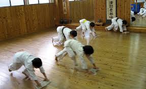 Image result for yonju dojo