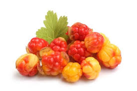Attēlu rezultāti vaicājumam “Rubus chamaemorus fruit”