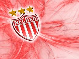 NECAXA= neCAxa  = CA = 31 =13 FAMILIAS ILLUMINATI...OTRA VEZ????