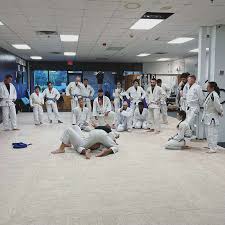 Image result for Derwent Jujitsu Academies