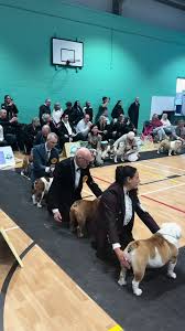 Image result for bulldog bowls club