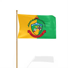 Image result for An Riocht Gaa Club