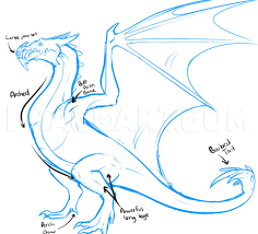 Image result for Wyvern