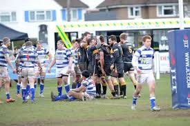 Image result for Tynedale Rfc