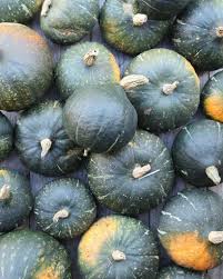 Image result for Kürbis