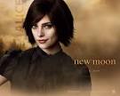 Cullen, Alice | Twilight Lexicon