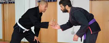 Image result for Brazilian-martial arts