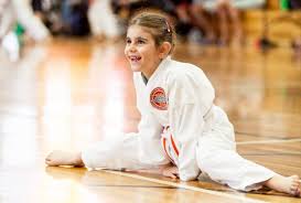 Image result for TIVERTON SHOTOKAN KARATE CLUB