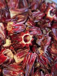 Attēlu rezultāti vaicājumam “Rumex acetosa fruit”