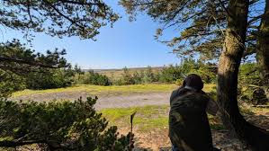 Image result for Beamish Sporting Club