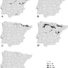 Attēlu rezultāti vaicājumam “Euphydrias aurinia upperside”