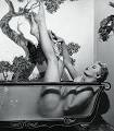 http://www.pinupsheroines.com/images/Lili-St-Cyr.jpg