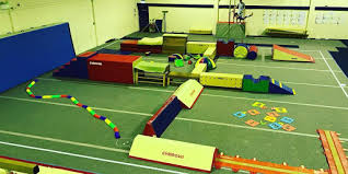 Image result for Tamworth Olympic Gymnastics Club