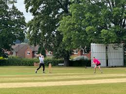 Image result for Horsley & Send Cricket Club