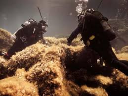 Image result for British Sub-Aqua Teesside 43 Branch