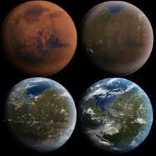 Image result for mars trees