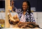 Cat lovers turn out for annual show in Ann Arbor