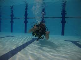 Image result for Eltham and District Sub Aqua Club