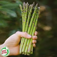 Attēlu rezultāti vaicājumam “Asparagus officinalis”