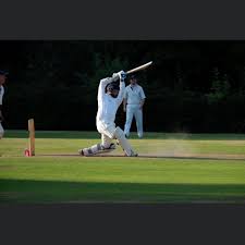 Image result for Lynchmere Cricket Club