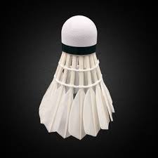 Image result for Linton Badminton Furies Badminton Club