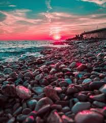 Image result for bilder