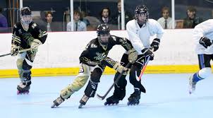 Image result for Dundee Ducks inline roller hockey club