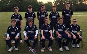 Image result for Grayshott Cricket Club