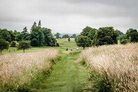 Image result for Crieff Scrabble Club