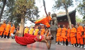 Image result for Shaolin Ancestors kung Fu School