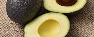 「アボカド大臣」の画像検索結果