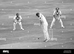 Image result for Roebuck Bowling Club