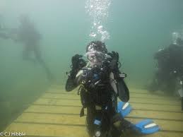 Image result for Stortford Divers