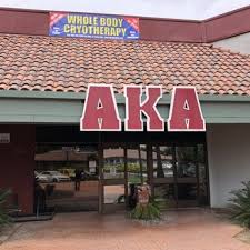 Image result for American Kick Boxing Club