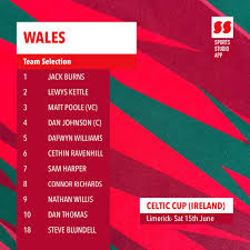 Image result for Tyddewi Octopush Club