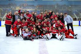 Image result for Streatham Night Wolves Ice Hockey Team
