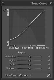 Image result for Curves