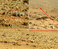 Image result for mars anomalies