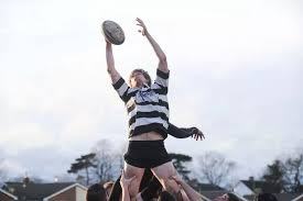 Image result for Royston Rufc