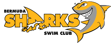 Image result for Sharks Swimming Club Of Mottingham